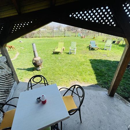 Greenpark Garden Villa Family Apartments Near Tokaj Szerencs Luaran gambar